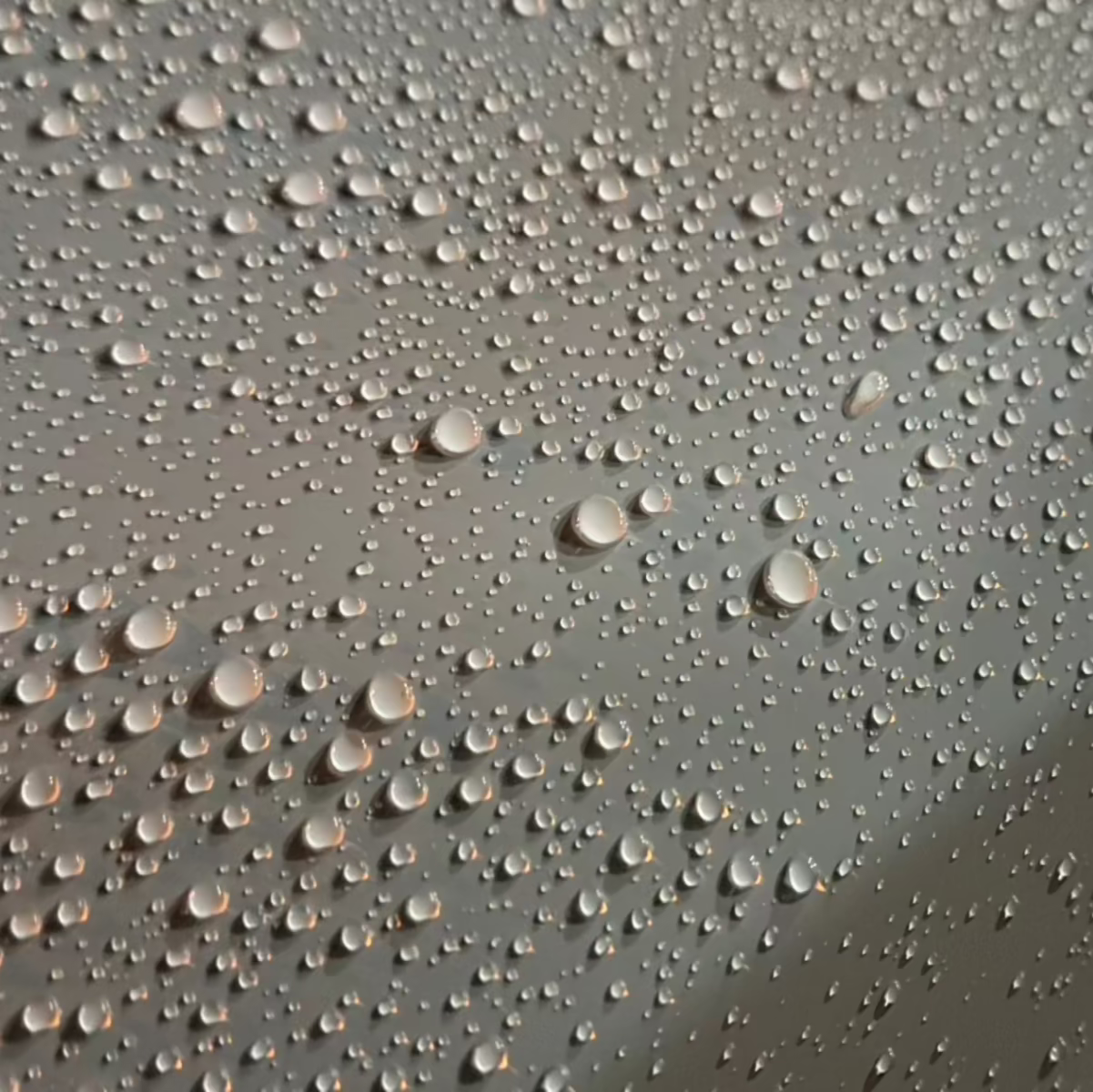 Ceramic Coating