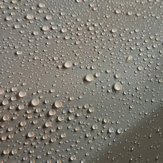 Ceramic Coating